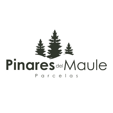 logo pinares